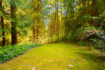 4228 Rockridge Crescent